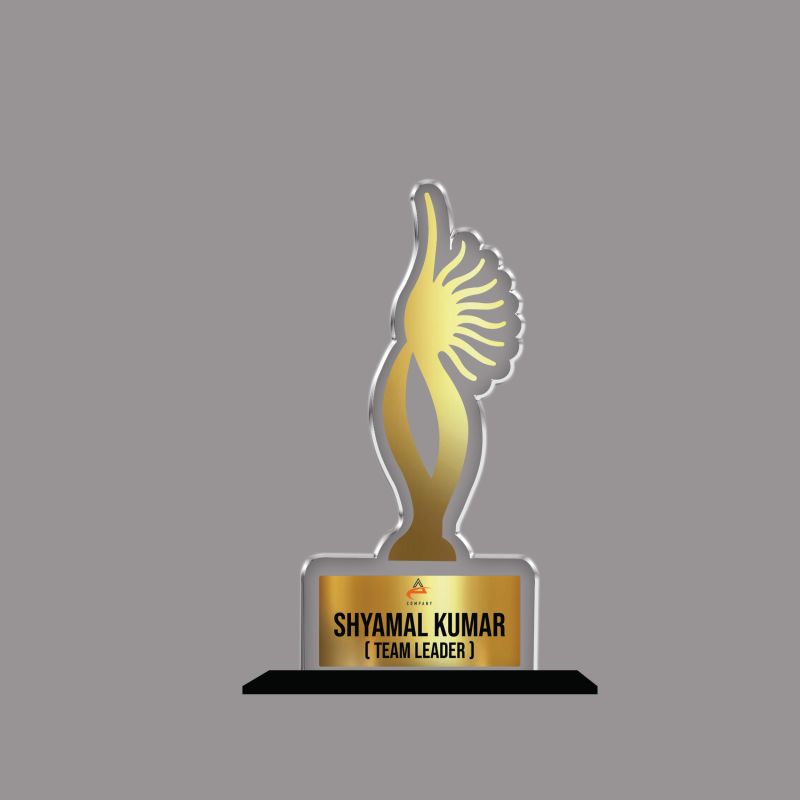 Personalized Corporate Recognition Award  Custom Acrylic Trophy with Name and Designation, Unique Gift for Team Leaders, Managers, Corporate Appreciation and Employees